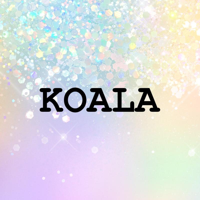 Challenge Paket "KOALA"